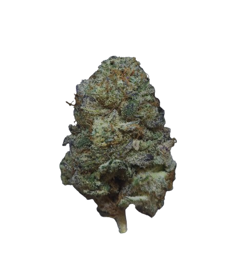 Grease Monkey Weed Strain - Bam Alaska - Anchorage Dispensary Grease Monkey Weed Strain - Bam Alaska - Anchorage Dispensary