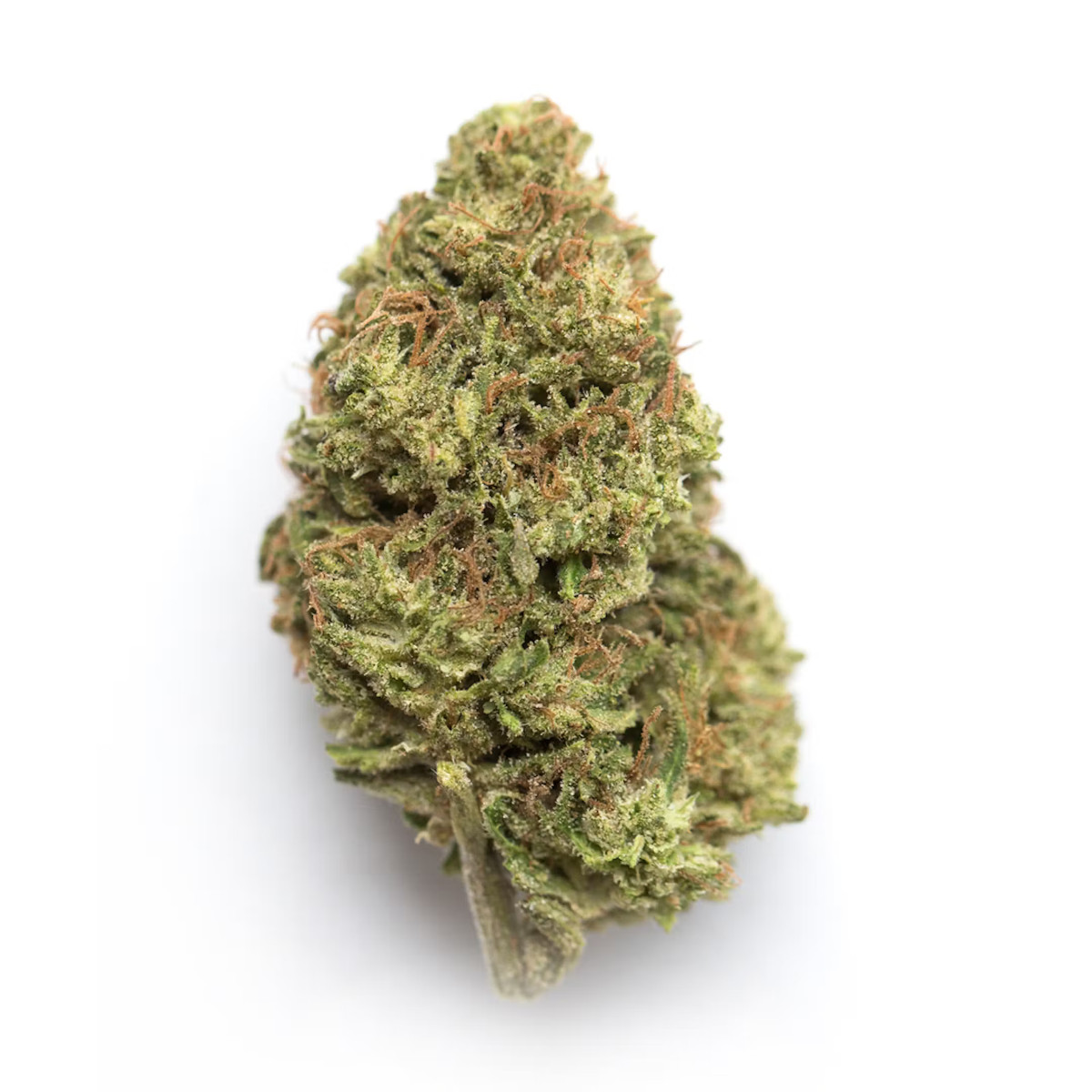 Phatso Weed Strain - Bam Alaska - Anchorage Dispensary Grease Monkey Weed Strain - Bam Alaska - Anchorage Dispensary