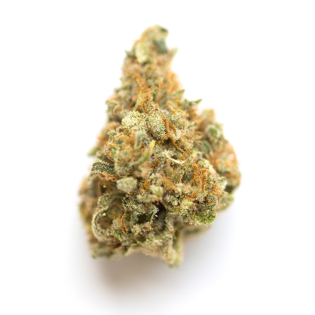 Quantum X Weed Strain - BAM Alaska - Anchorage Dispensary Quantum X Weed Strain - BAM Alaska - Anchorage Dispensary