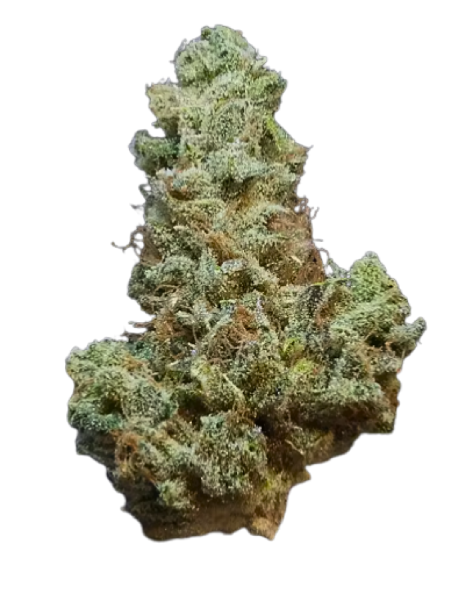 Pineapple Express Weed Strain - BAM Alaska - Anchorage Dispensary