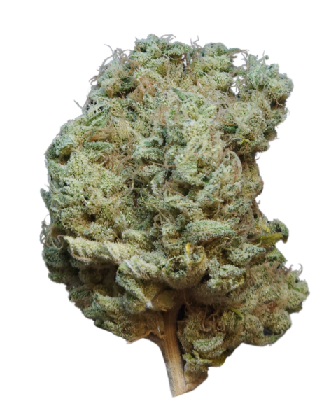 Phat N' Nasty flower, as labeled by the cited image source